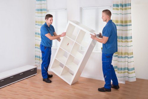 Risk assessment planning for a safe moving day