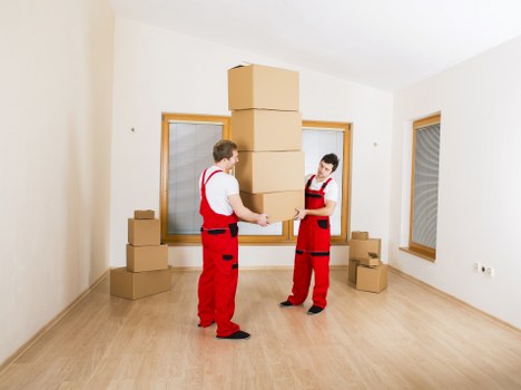 Commitment to inclusive, WCAG-aligned Harringay Removals content